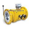 Gas Meter TRZ2