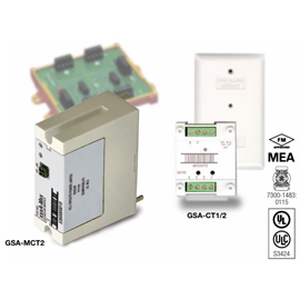 GSA-CT1